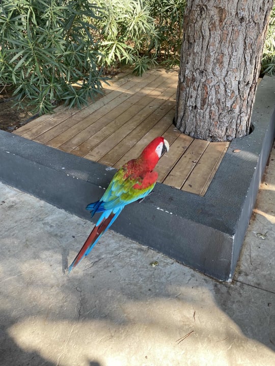 Sonstiges Voyage Belek Golf & Spa