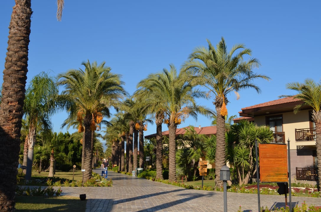 Verbindungswege TUI BLUE Palm Garden