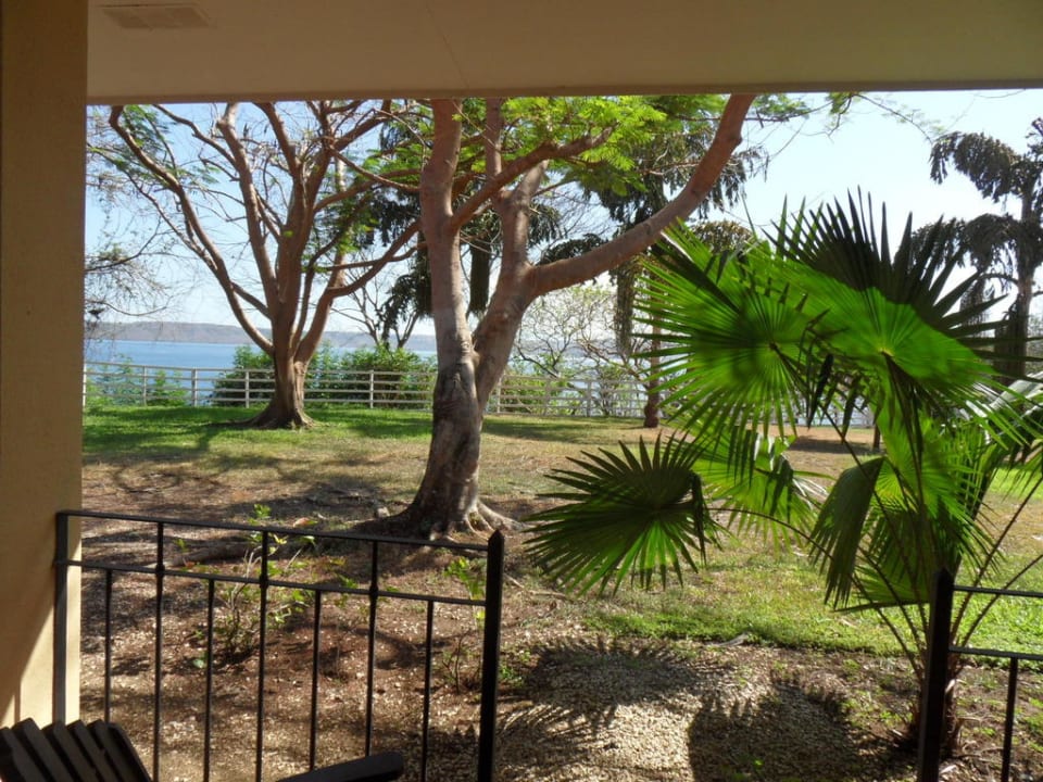 Ausblick aus dem Zimmer Occidental Papagayo - Adults only
