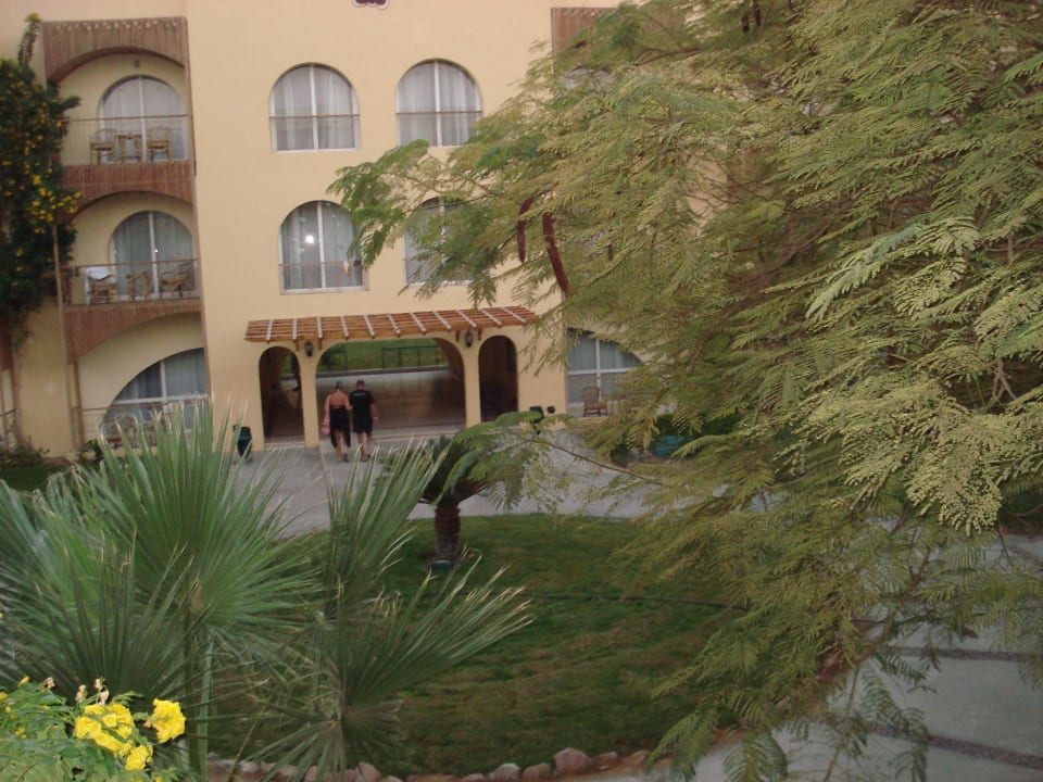 Вид из номера Desert Rose