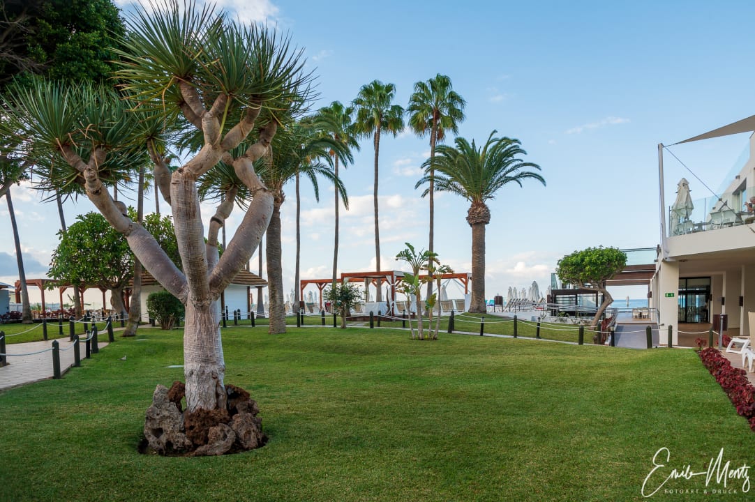 Gartenanlage Iberostar Waves Bouganville Playa