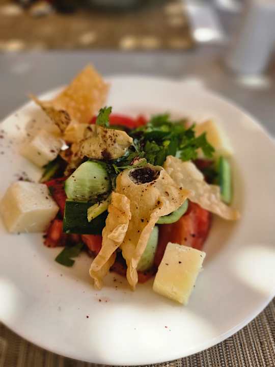 Gastro Paloma Oceana