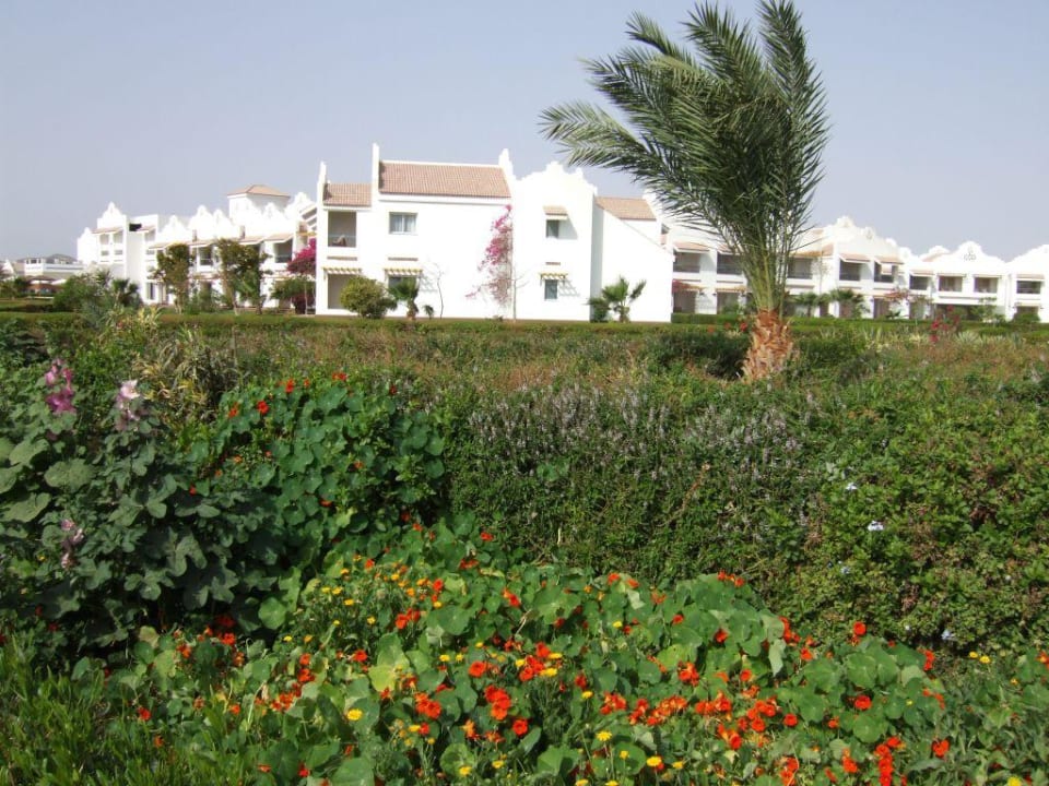 wie ein Botanischer Garten Lahami Bay Beach Resort