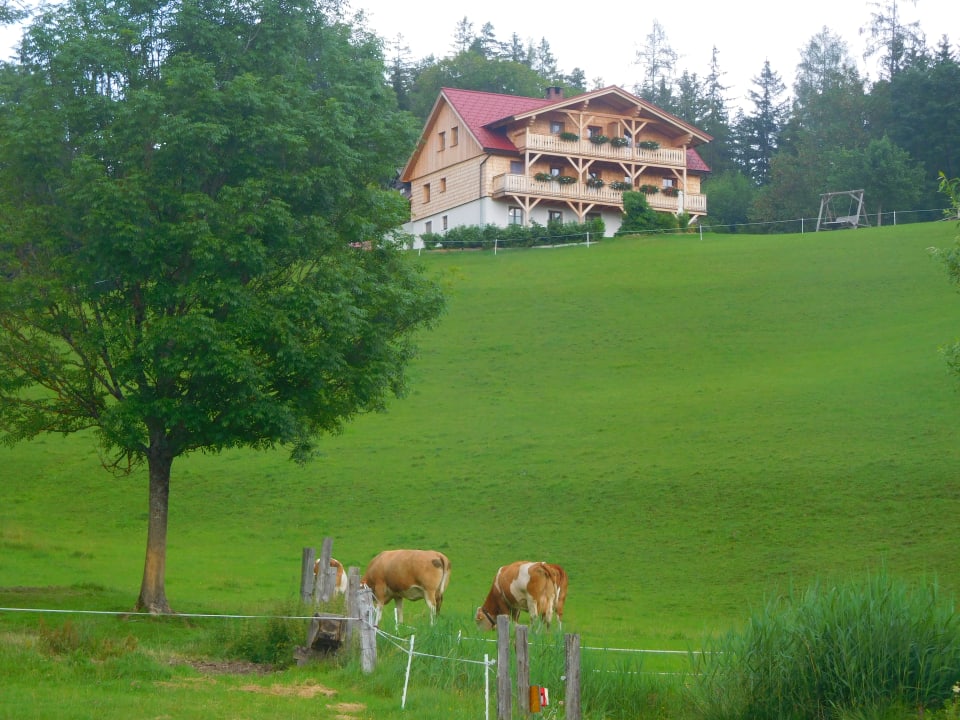 Ausblick JUFA Hotel Erlaufsee