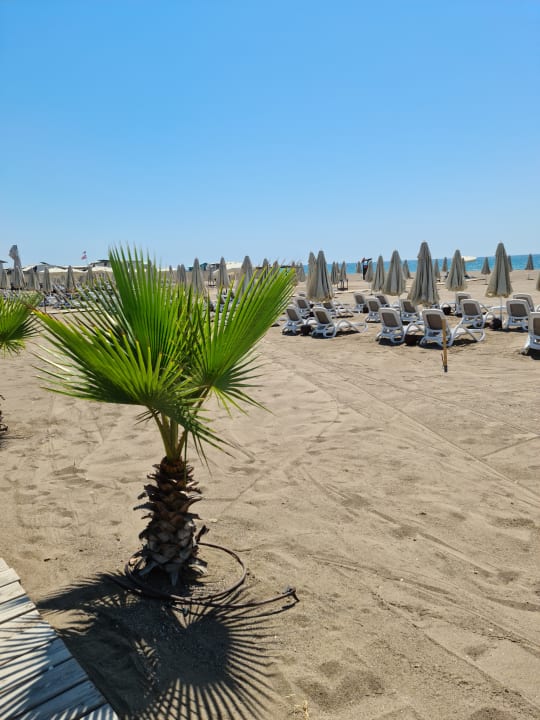 Strand Trendy Lara