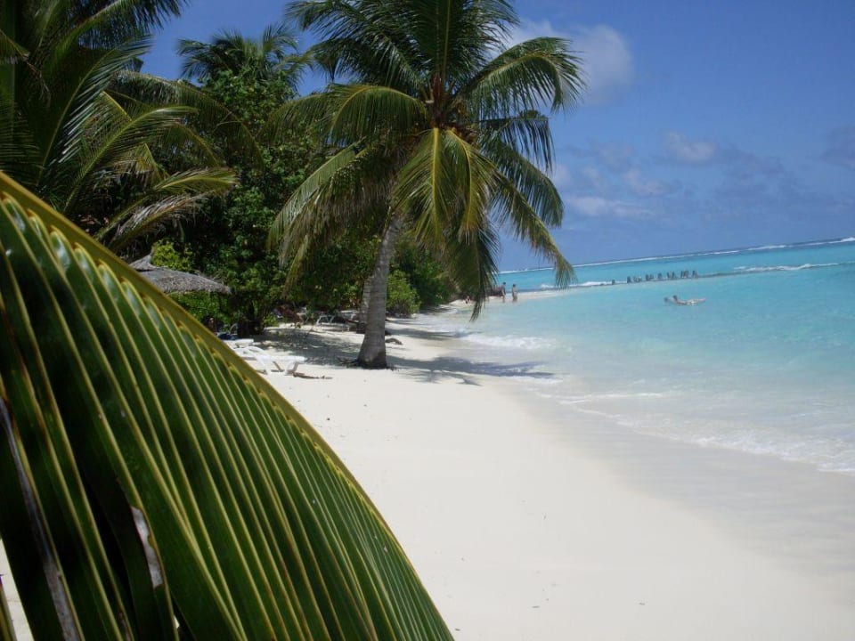 Super tolles Meer Summer Island Maldives