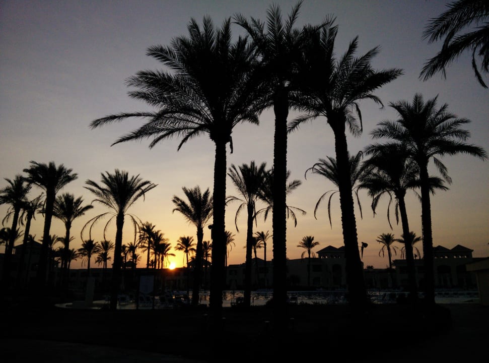 Sonnenuntergang Cleopatra Luxury Resort Makadi Bay