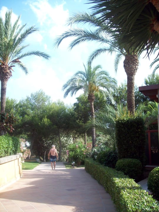 Gepflegte Anlage Insotel Club Cala Mandia