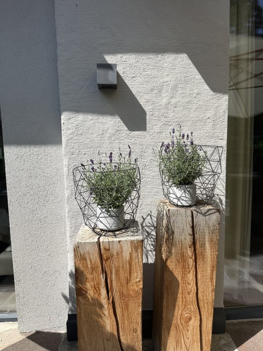 Sonstiges Alpine Resort Sportalm