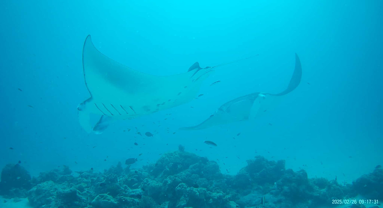 Sport & Freizeit Dhigali Maldives