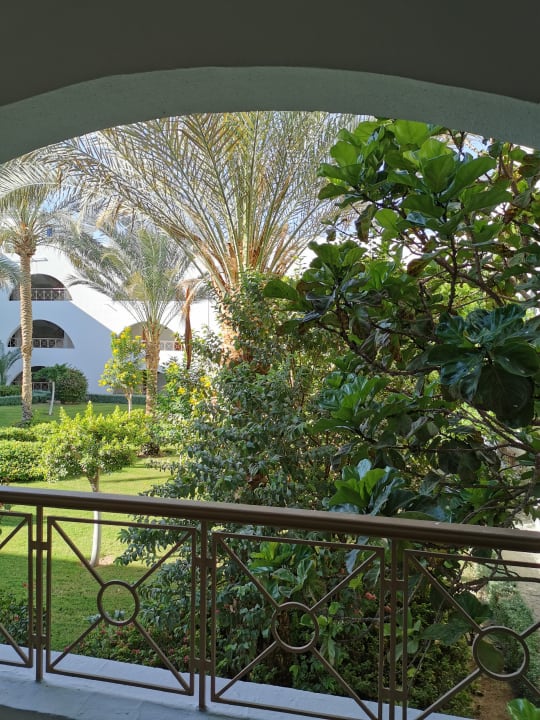 Ausblick Desert Rose