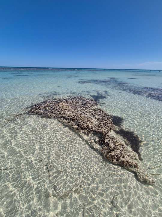 Strand Calimera Yati Beach
