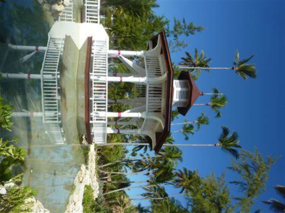 Hochzeitspavillon Hotel Grand Palladium Palace Resort, Spa & Casino