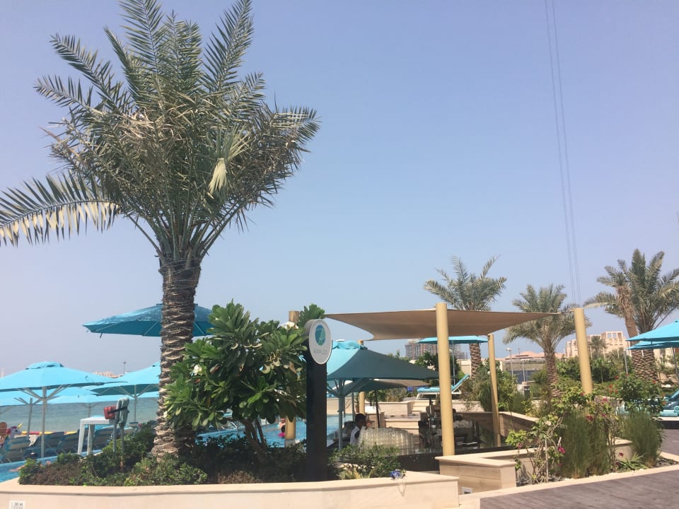 Pool The Retreat Palm Dubai MGallery by Sofitel