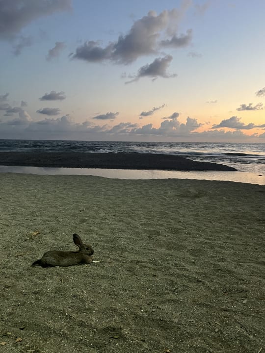 Strand Labranda Alantur Resort