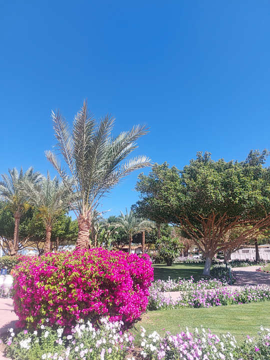 Außenansicht Desert Rose