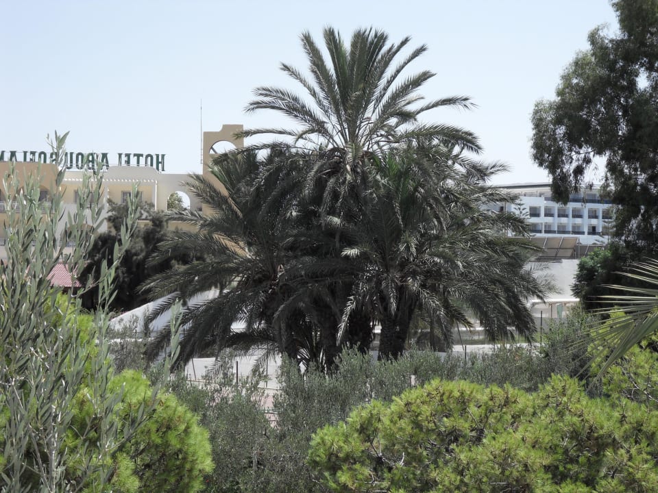 Blick vom Balkon 1. Stock, Gartenseite Hotel El Mouradi Port El Kantaoui