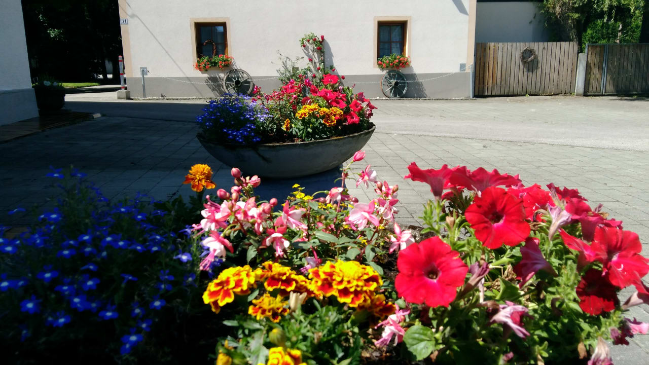 Sonstiges Pension Helmhof