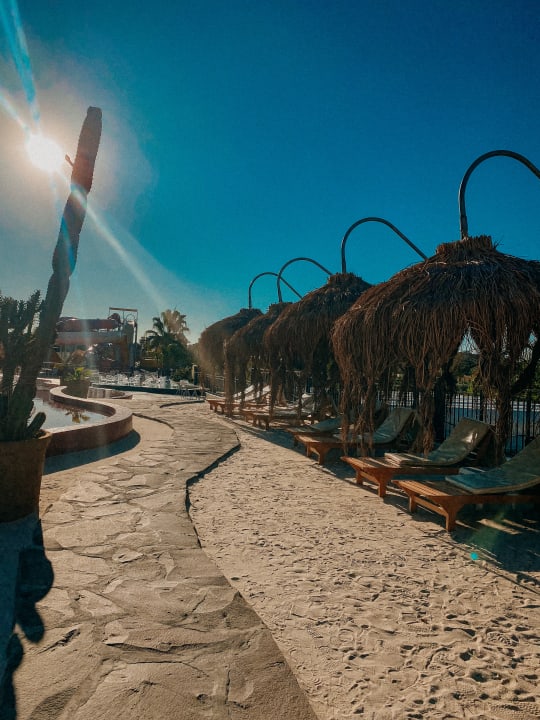 Gartenanlage Dream World Palace Hotel