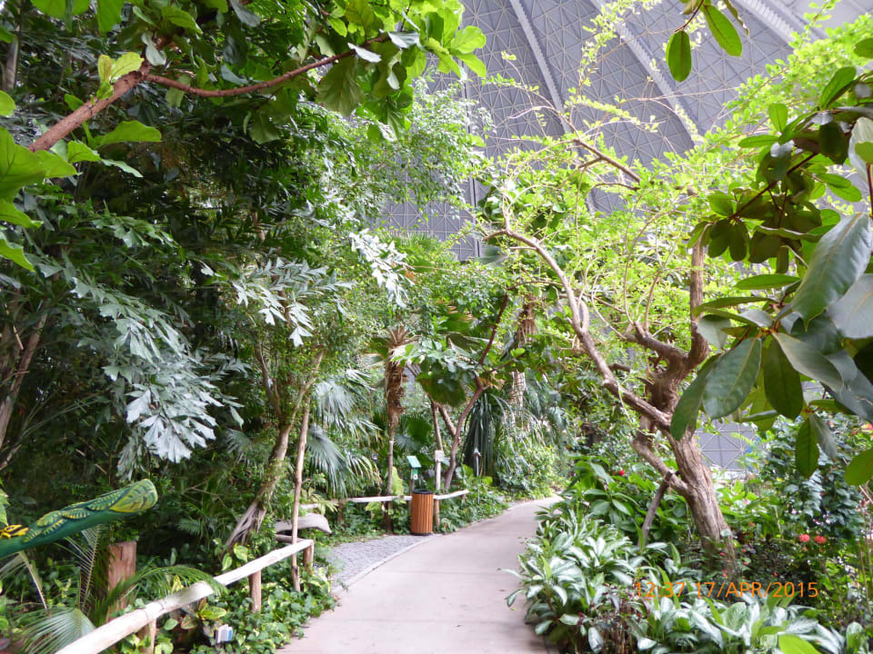 Regenwald Tropical Islands Resort