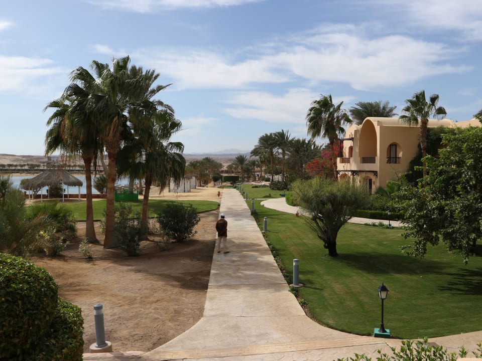 Blick von der Terrasse 1005 Steigenberger Coraya Beach - Adults only