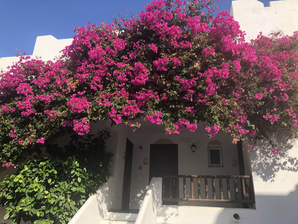 Außenansicht Alexander Beach Hotel & Village Resort