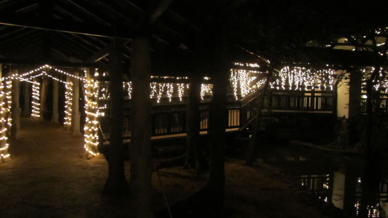 Weg zum RestaurantBuffetrestaurant - Weihnachtsdek Club Hotel Dolphin