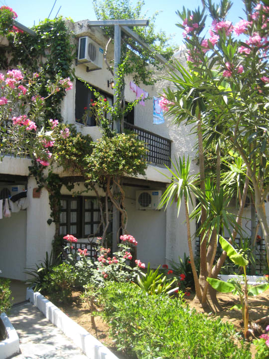 Wohnbeispiel HARPIN Happy Days Beach Hotel