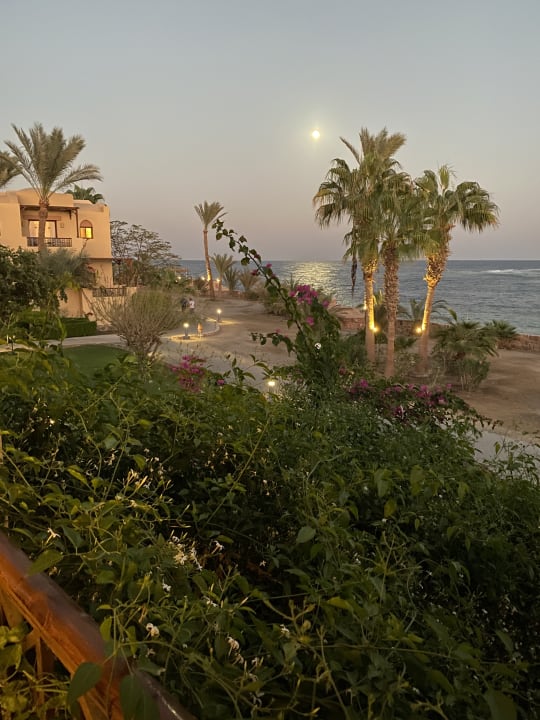 Ausblick Steigenberger Coraya Beach - Adults only