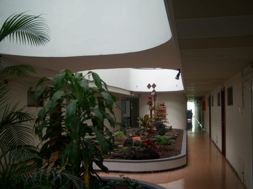 Hotelinnere Apartamentos Los Aguacates