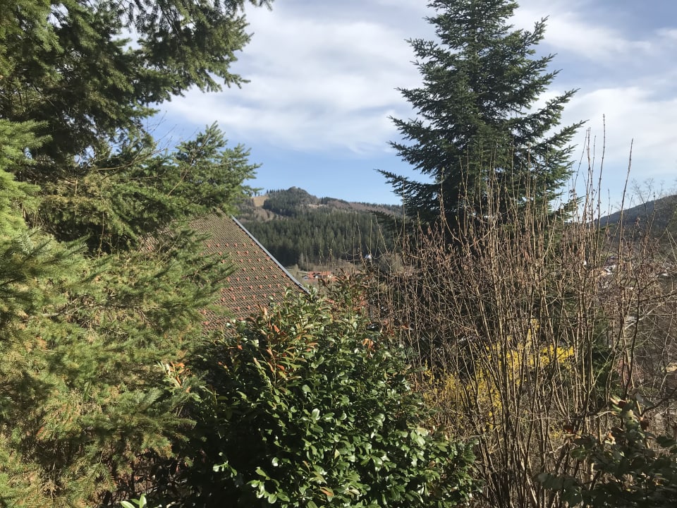 Blick von der Terasse zum Silberberg  Montara Suites Bodenmais