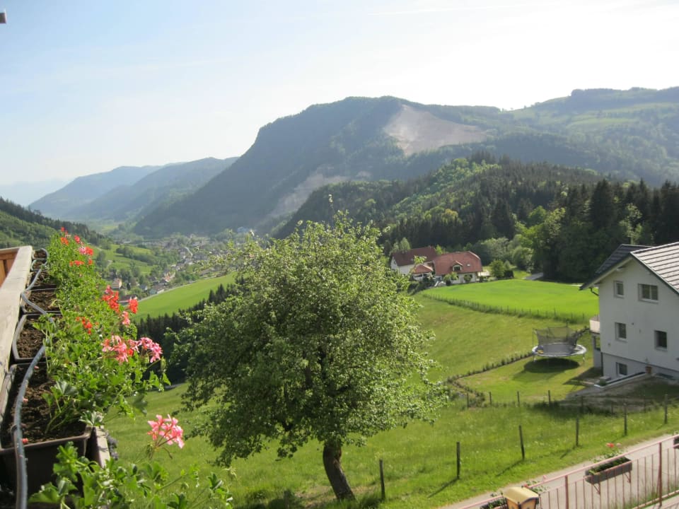 Blick vom Zimmerbalkon - nur die Grillen zirpen Panoramadorf Saualpe