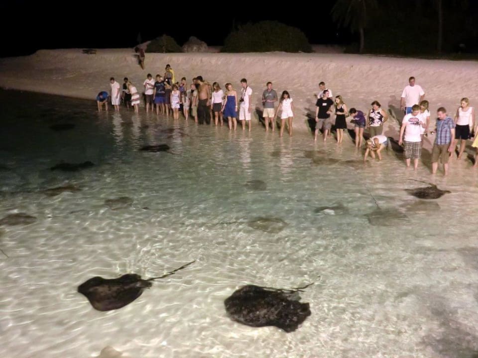 Rochenfütterung Villa Park Sun Island