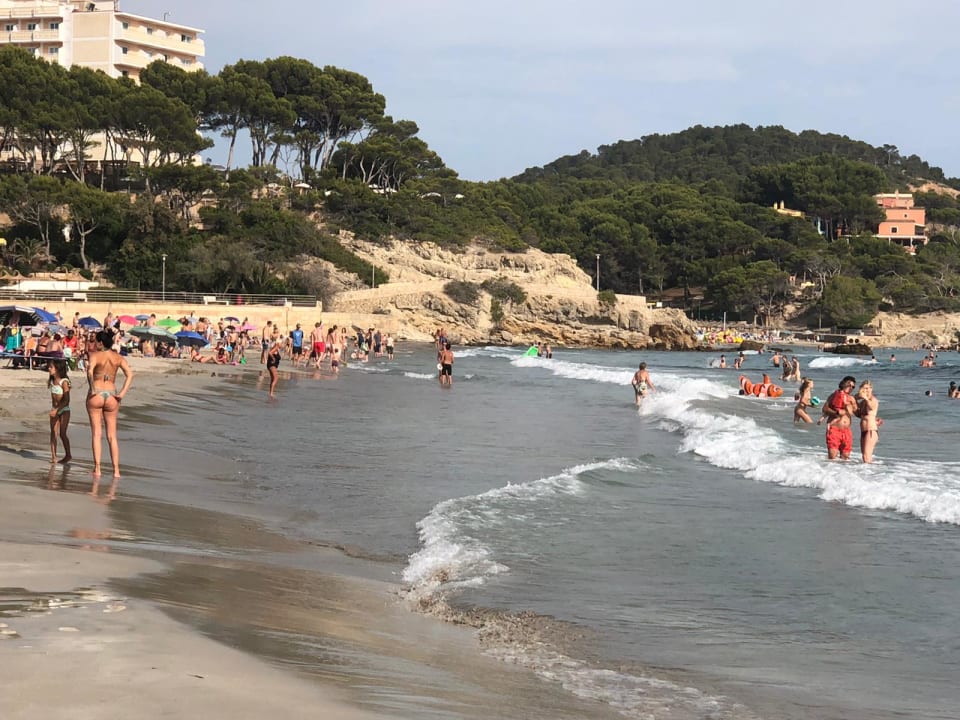 Strand allsun Hotel Bella Paguera