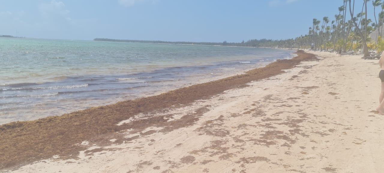 Strand Dreams Royal Beach Punta Cana