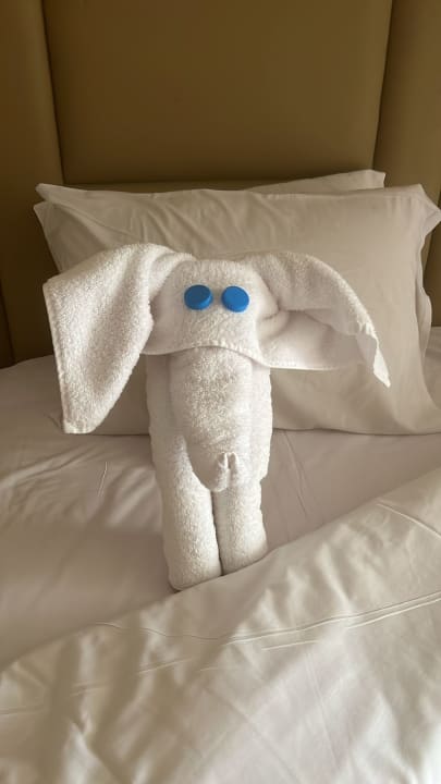 Zimmer Regency Plaza Aqua Park & Spa