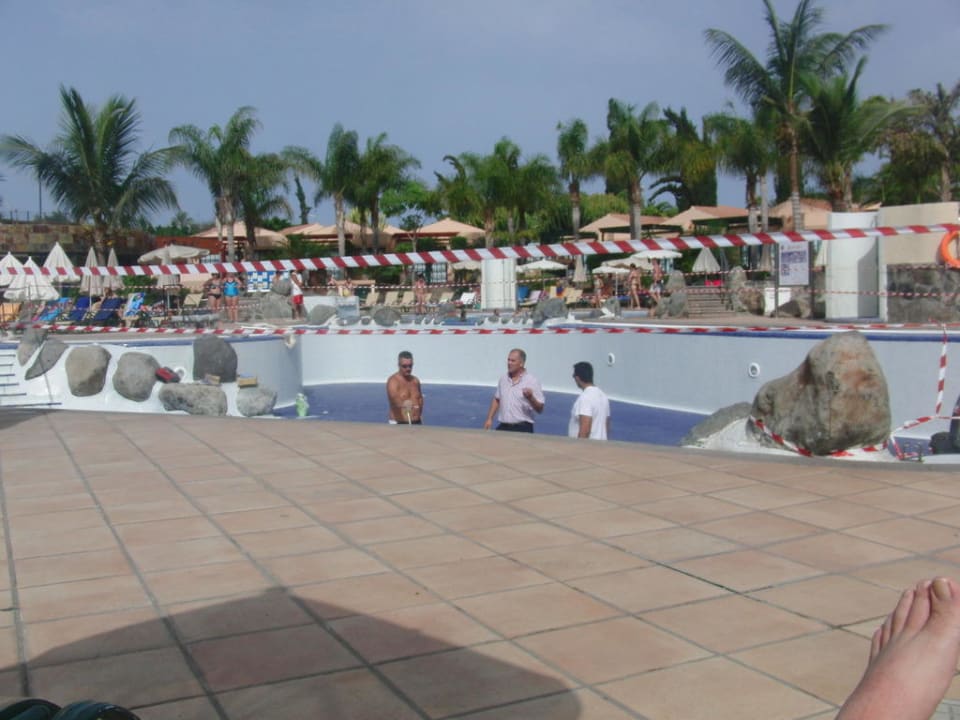 "Renovierung des Pools" allsun Hotel Esplendido ...