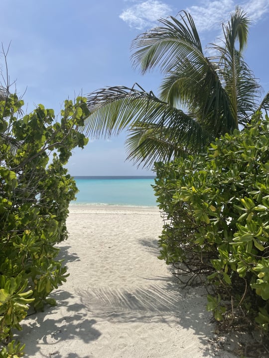 Strand Summer Island Maldives