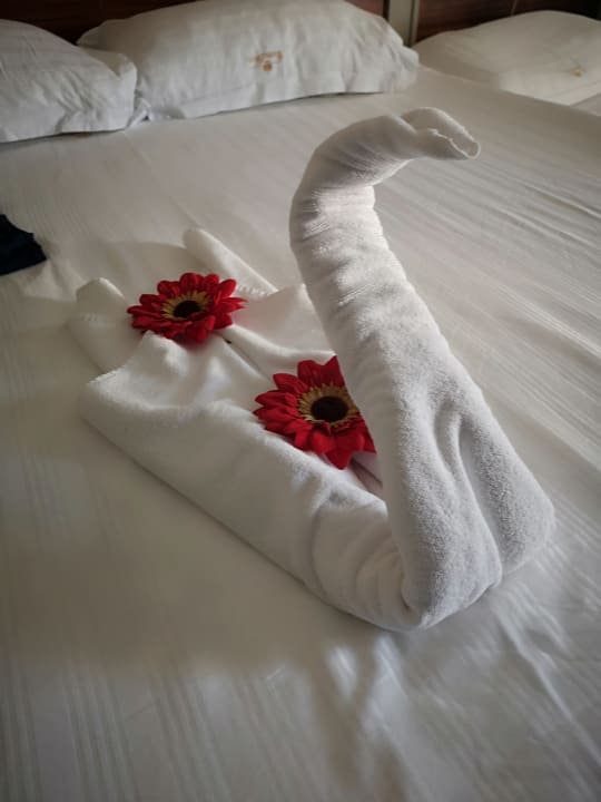 Zimmer Well Palace Side