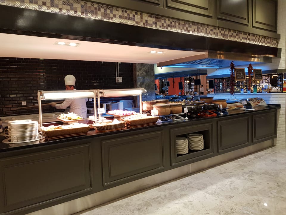 Gastro Seashell Vega