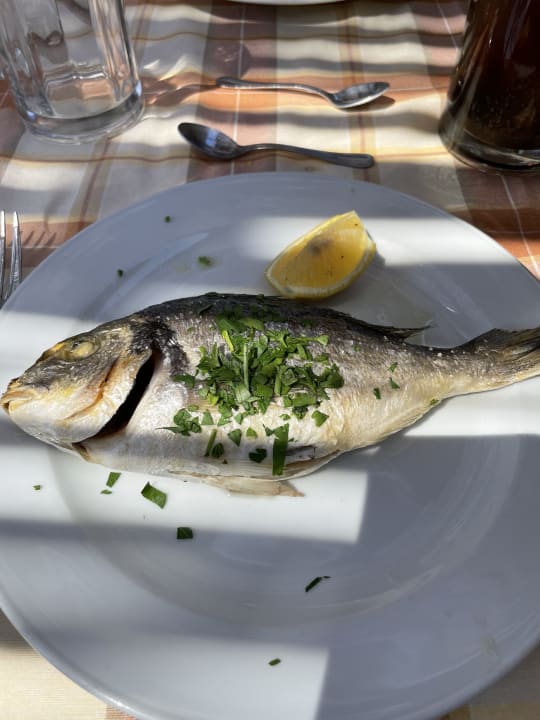 Gastro Hotel Kalithea Horizon Royal