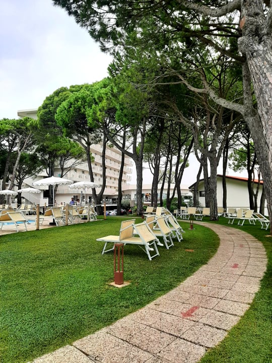 Gartenanlage Hotel San Giorgio
