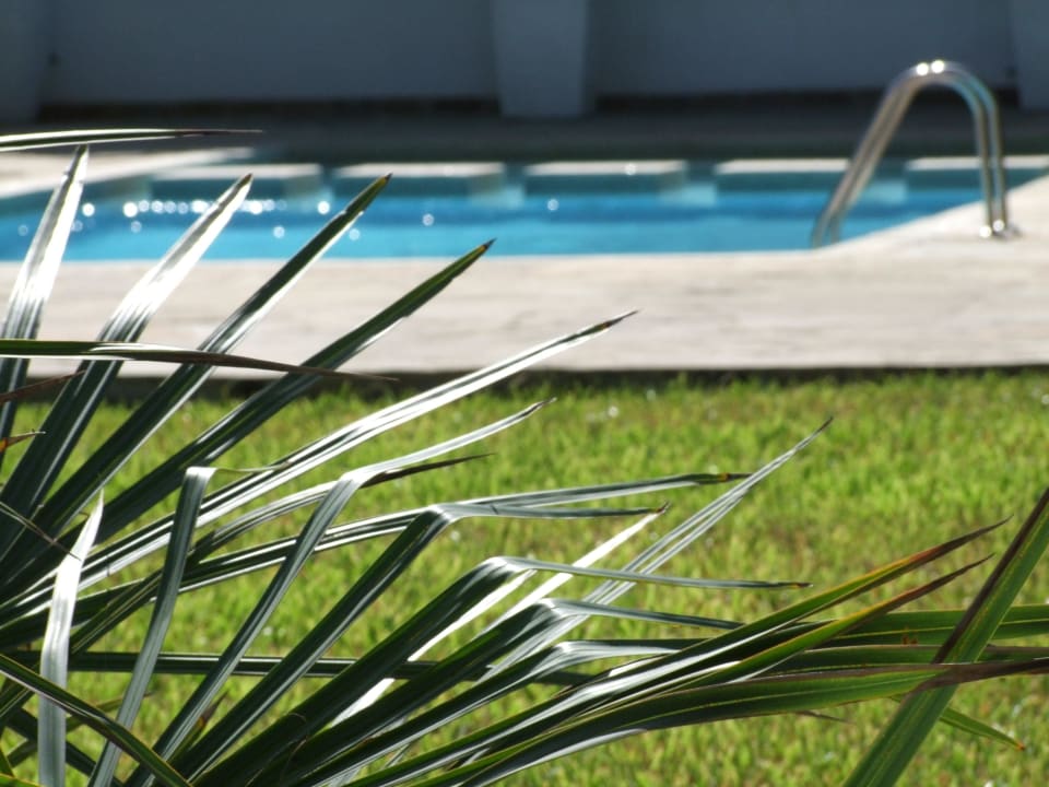 Pool Hotel Karibuni Rafiki Beach Resort