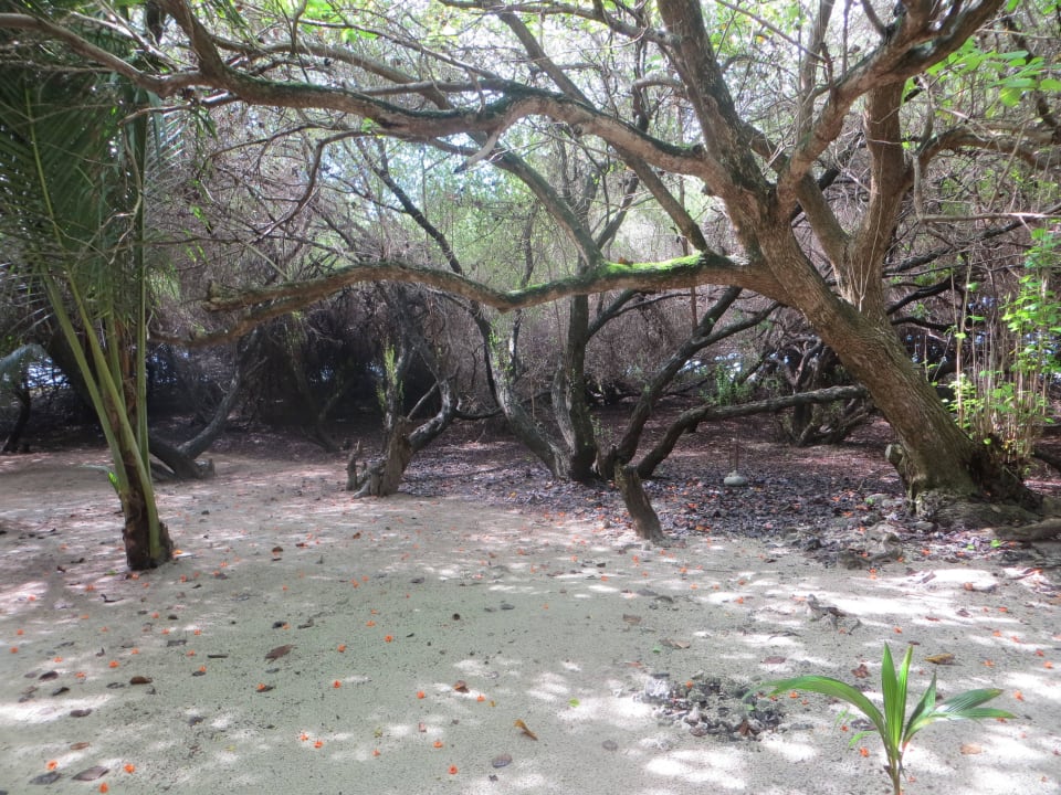 Bereich um Lohis und Surf Break Bereich Adaaran Select Hudhuran Fushi - Premium All Inclusive