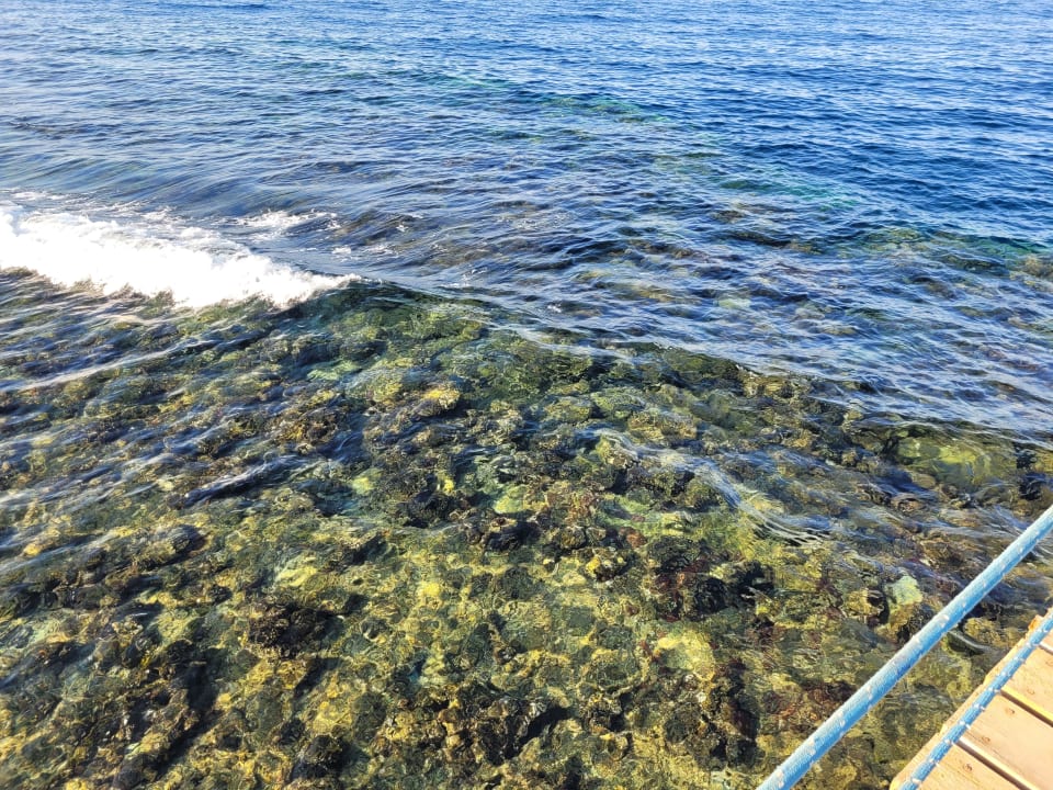 Strand Blue Reef Red Sea Resort