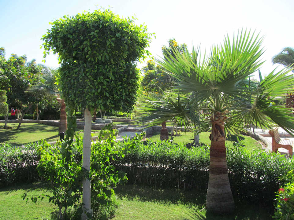 Сквер Le Jardin Aqua Park Resort