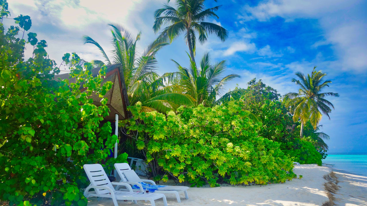 Strand Safari Island Maldives