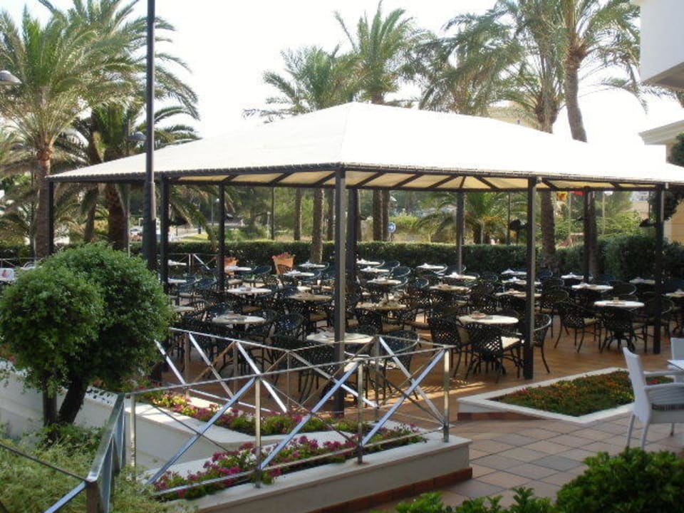 Poolbar Hipotels Hipocampo Playa