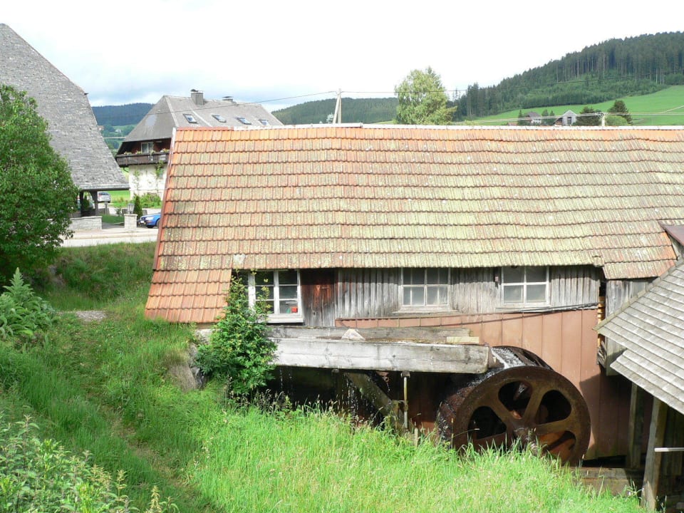 Umgebung zum Hotel Schwarzwaldgasthof Hotel Zum Löwen - Unteres Wirtshaus