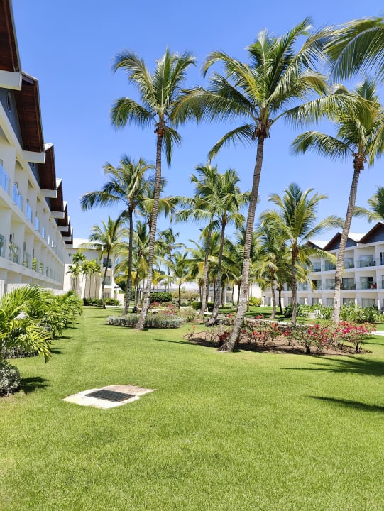 Gartenanlage Secrets La Romana Resort & Spa - Adult Only